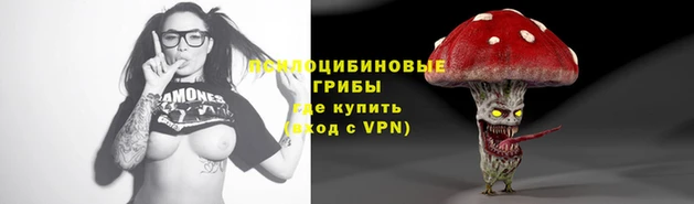 тгк Карпинск