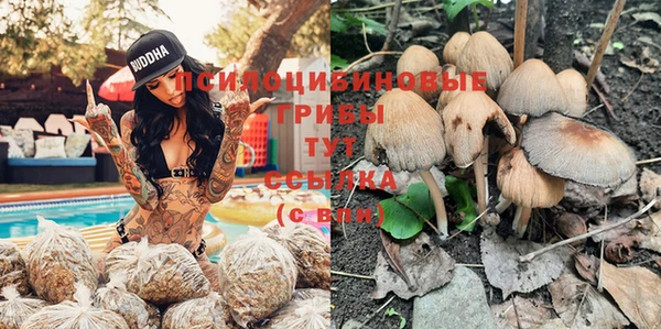 Альфа ПВП Карталы